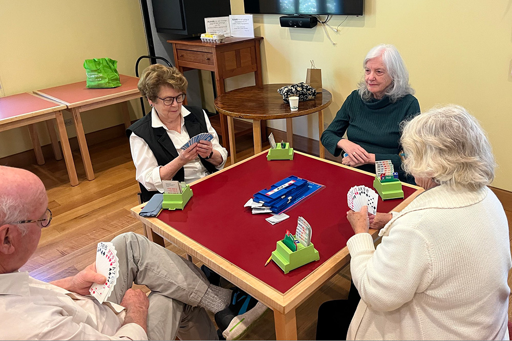 bridge game-crop bridge game-crop