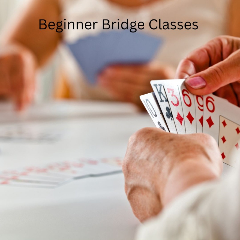Learn to Play Bridge