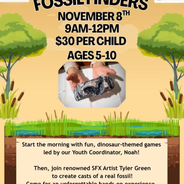 Fossil Finders FSX Program