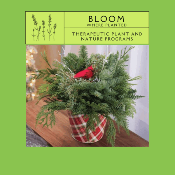 Bloom Where Planted: Holiday Centerpiece
