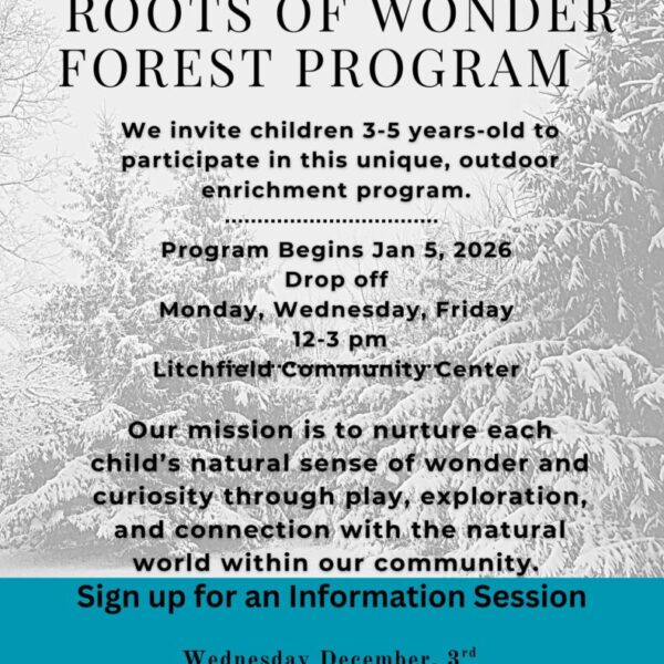 Roots of Wonder Forest Program Information Session 5pm Copy
