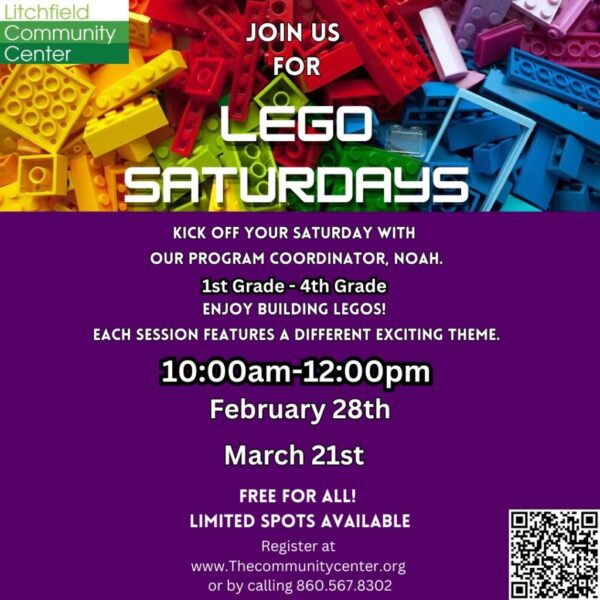 Legos With Noah March 21st
