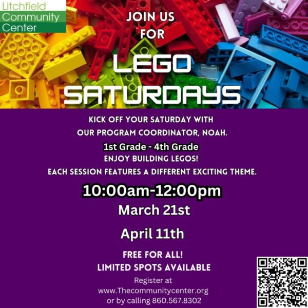 Legos With Noah April 11th