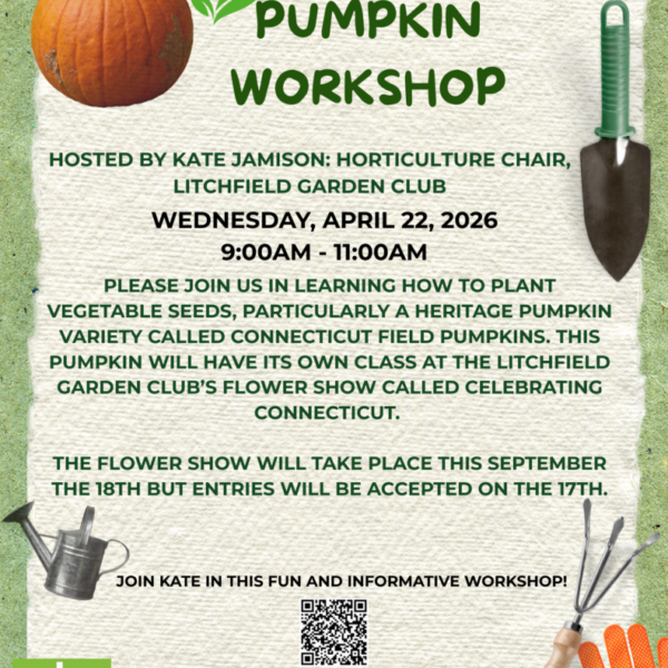Pumpkin Workshop: 4/22