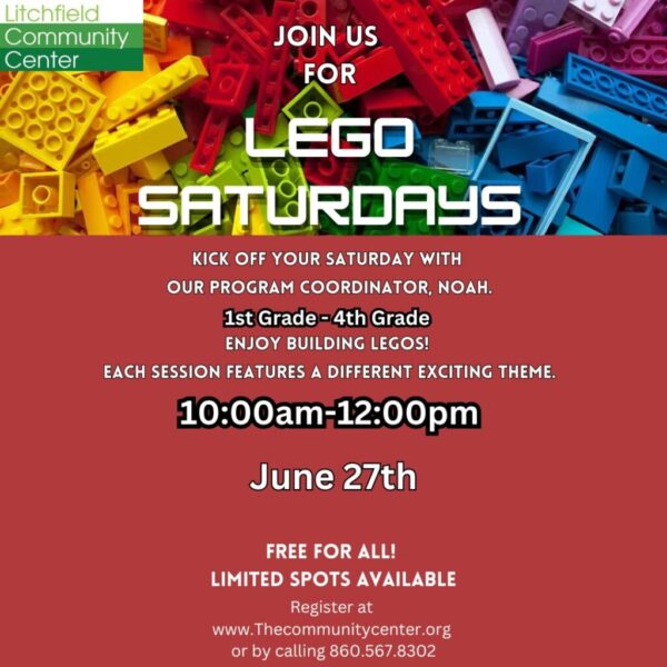 Legos With Noah June 27th