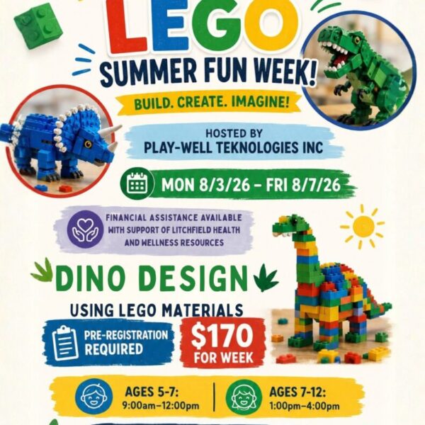 Lego Summer Fun Week! (Ages 7-12)