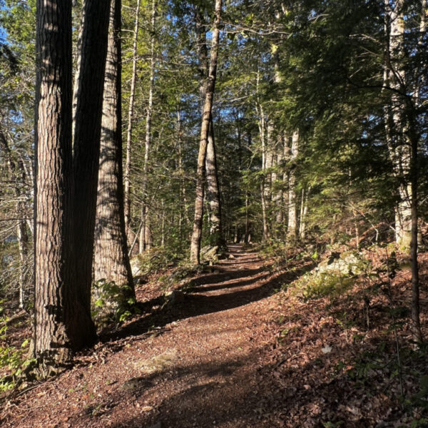 Live,Learn,Lunch Nature Therapy