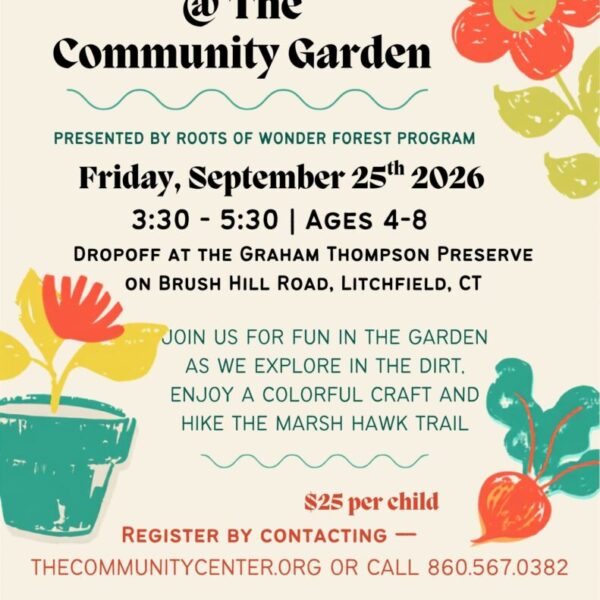 Roots of Wonder- An Afternoon at The Community Garden