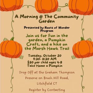 A Morning @ The Community Garden